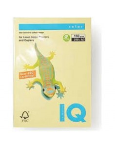 CARTONCINO A3 GIALLO CHIARO...