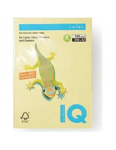 CARTONCINO A3 GIALLO CHIARO 160GR 250FF