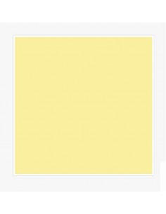 CARTONCINO A3 CANSON GIALLO...