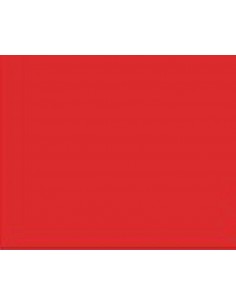 GOMMA EVA ROSSO ANGURIA 40X60 2