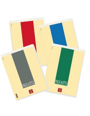 BLOCK NOTES PIGNASTYL 5MM 15X21 **