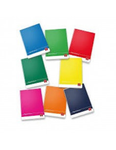 MAXI PIGNA COLOURS 100GR 4F