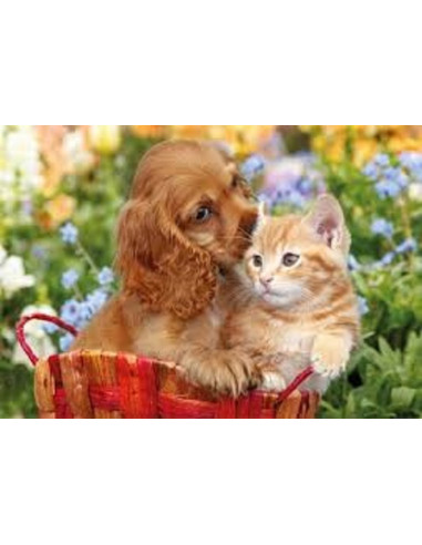 PUZZLE 104PZ FRIENDS