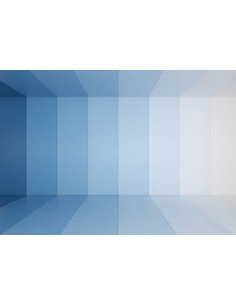 CARTONCINO A3 GREENERY BLU... 2