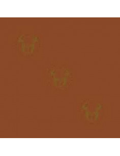 GOMMA EVA 40X60 MARRONE 