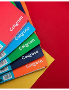 QUADERNO CON SPIRALE PPL 5MM